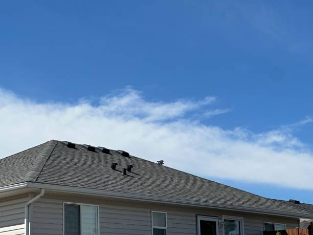 Best Roof Installation  in Waterville, MN